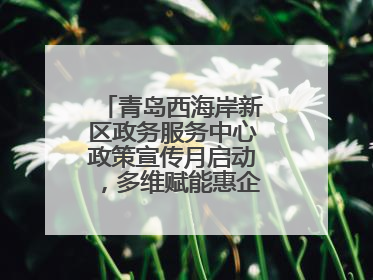 青岛西海岸新区政务服务中心政策宣传月启动，多维赋能惠企便民服务升级