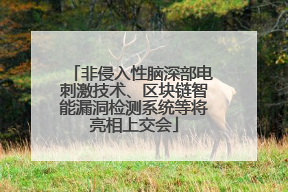 非侵入性脑深部电刺激技术、区块链智能漏洞检测系统等将亮相上交会