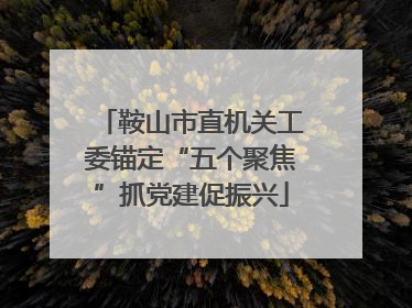 鞍山市直机关工委锚定“五个聚焦”抓党建促振兴
