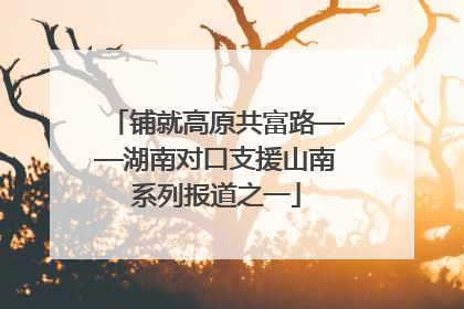 铺就高原共富路——湖南对口支援山南系列报道之一