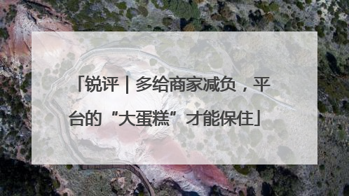 锐评｜多给商家减负，平台的“大蛋糕”才能保住