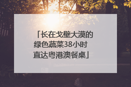 长在戈壁大漠的绿色蔬菜38小时直达粤港澳餐桌