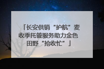 长安供销“护航”麦收季托管服务助力金色田野“抢收忙”