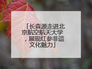 长森源走进北京航空航天大学，展现红参非遗文化魅力