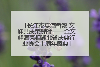 长江夜宴酒香浓 文峰共庆荣耀时——金文峰酒亮相湖北省庆典行业协会十周年盛典