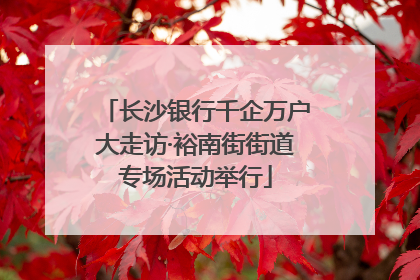 长沙银行千企万户大走访·裕南街街道专场活动举行