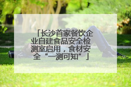 长沙首家餐饮企业自建食品安全检测室启用，食材安全“一测可知”