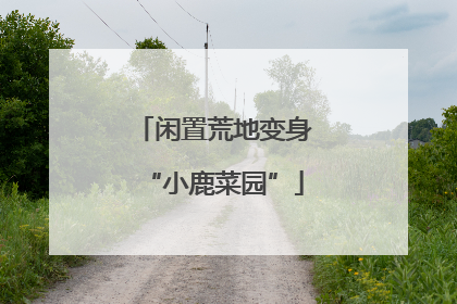 闲置荒地变身“小鹿菜园”