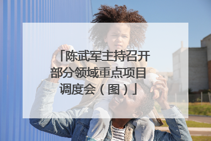 陈武军主持召开部分领域重点项目调度会（图）