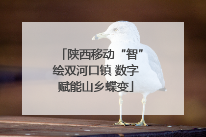 陕西移动“智”绘双河口镇 数字赋能山乡蝶变