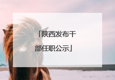 陕西发布干部任职公示