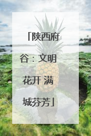 陕西府谷：文明花开 满城芬芳