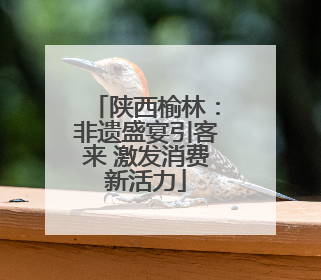 陕西榆林：非遗盛宴引客来 激发消费新活力
