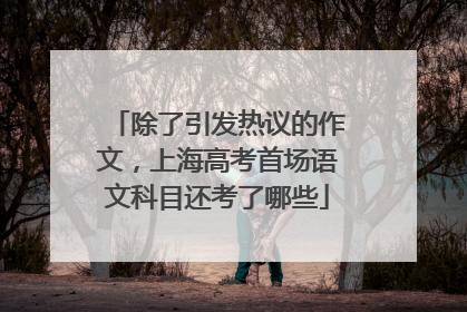 除了引发热议的作文，上海高考首场语文科目还考了哪些