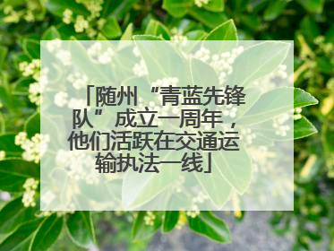 随州“青蓝先锋队”成立一周年，他们活跃在交通运输执法一线