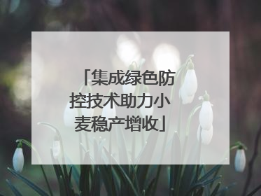 集成绿色防控技术助力小麦稳产增收