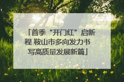 首季“开门红”启新程 鞍山市多向发力书写高质量发展新篇