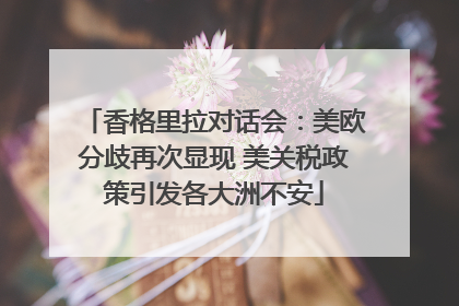 香格里拉对话会：美欧分歧再次显现 美关税政策引发各大洲不安
