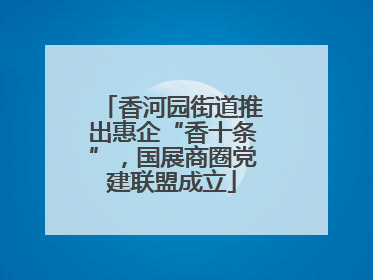 香河园街道推出惠企“香十条”，国展商圈党建联盟成立