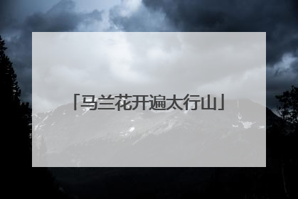马兰花开遍太行山