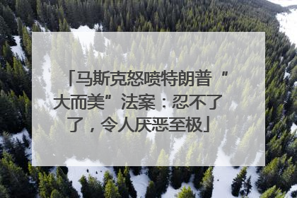 马斯克怒喷特朗普“大而美”法案：忍不了了，令人厌恶至极