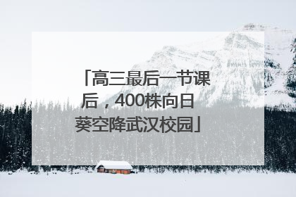 高三最后一节课后，400株向日葵空降武汉校园