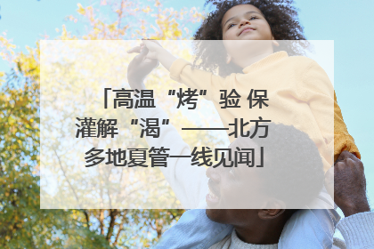 高温“烤”验 保灌解“渴”——北方多地夏管一线见闻