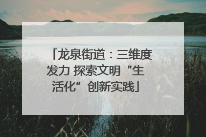 龙泉街道：三维度发力 探索文明“生活化”创新实践