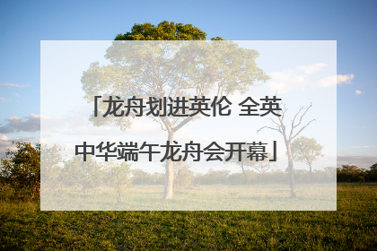 龙舟划进英伦 全英中华端午龙舟会开幕