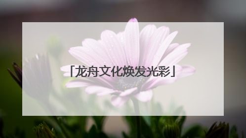 龙舟文化焕发光彩