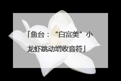 鱼台：“白富美”小龙虾跳动增收音符