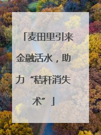 麦田里引来金融活水，助力“秸秆消失术”