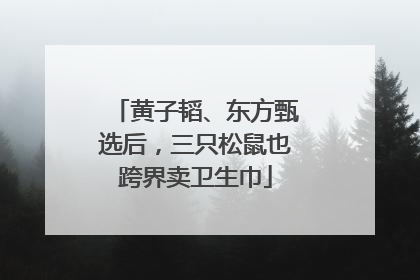 黄子韬、东方甄选后，三只松鼠也跨界卖卫生巾