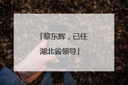 黎东辉，已任湖北省领导