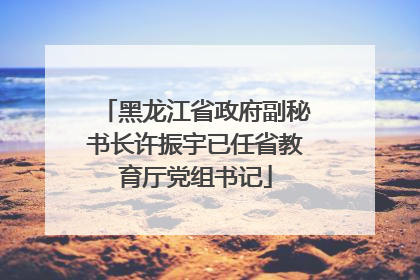 黑龙江省政府副秘书长许振宇已任省教育厅党组书记