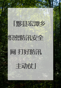 黟县宏潭乡织密防汛安全网 打好防汛主动仗