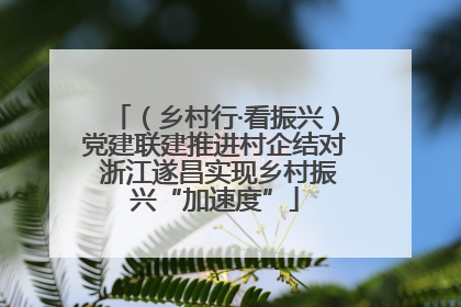 （乡村行·看振兴）党建联建推进村企结对 浙江遂昌实现乡村振兴“加速度”