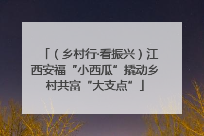 （乡村行·看振兴）江西安福“小西瓜”撬动乡村共富“大支点”