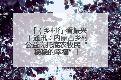 （乡村行·看振兴）通讯：内蒙古乡村公益岗托底农牧民“稳稳的幸福”