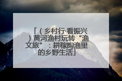 （乡村行·看振兴）黄河渔村玩转“渔文旅”：耕稼陶渔里的乡野生活