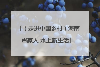 （走进中国乡村）海南疍家人 水上新生活