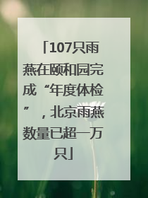107只雨燕在颐和园完成“年度体检”，北京雨燕数量已超一万只