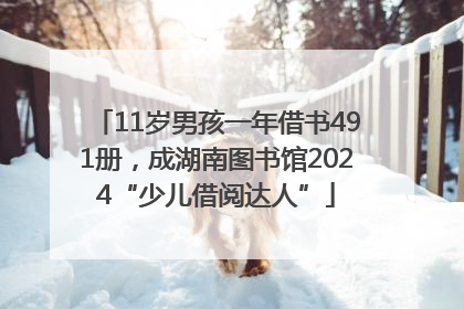 11岁男孩一年借书491册，成湖南图书馆2024“少儿借阅达人”