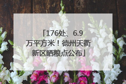 176处、6.9万平方米！德州天衢新区晒粮点公布