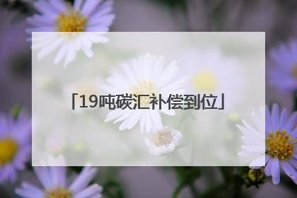 19吨碳汇补偿到位