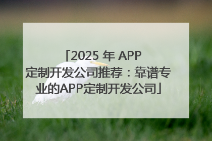 2025 年 APP 定制开发公司推荐：靠谱专业的APP定制开发公司