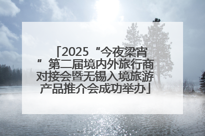 2025“今夜梁宵”第二届境内外旅行商对接会暨无锡入境旅游产品推介会成功举办
