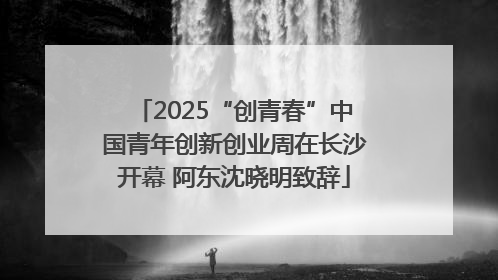 2025“创青春”中国青年创新创业周在长沙开幕 阿东沈晓明致辞