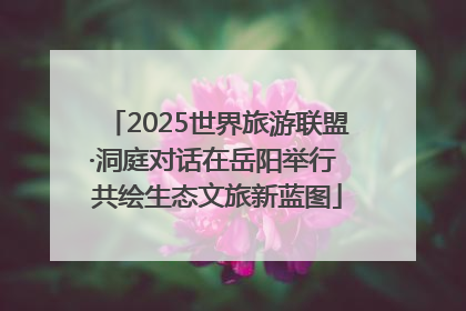 2025世界旅游联盟·洞庭对话在岳阳举行 共绘生态文旅新蓝图