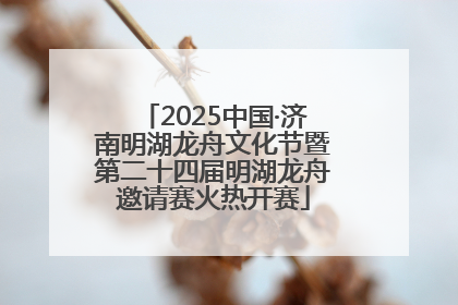 2025中国·济南明湖龙舟文化节暨第二十四届明湖龙舟邀请赛火热开赛